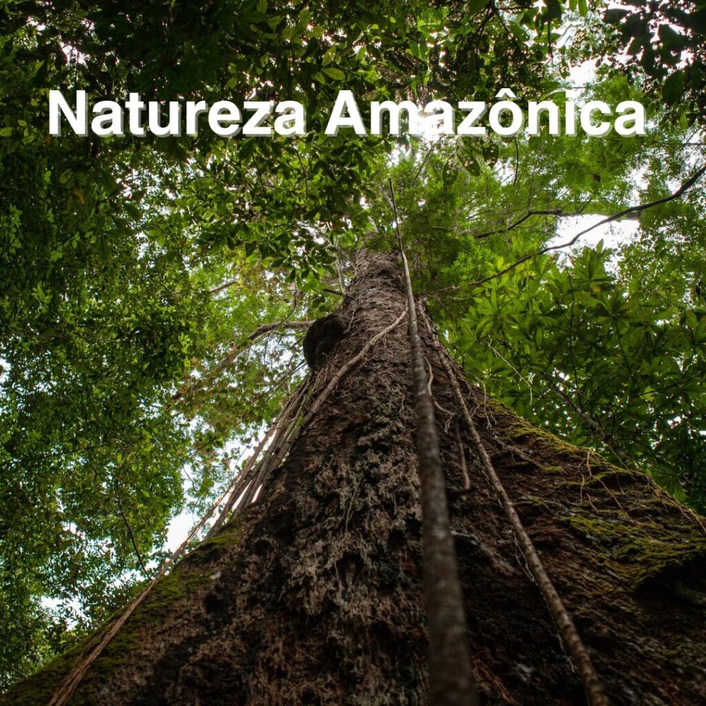 natureza amazônica